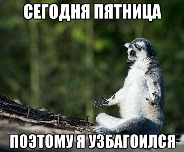 Ура, пятница: прикольные картинки
