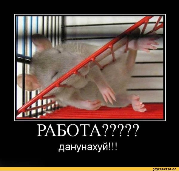 Ржачные до слез картинки про работу