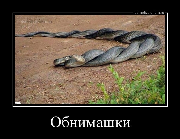 Прикольные картинки обнимашек-целовашек