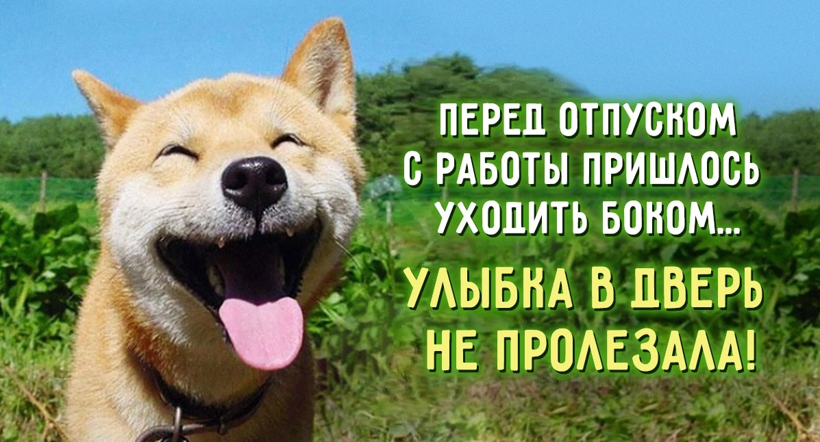 Картинки про отпуск и работу