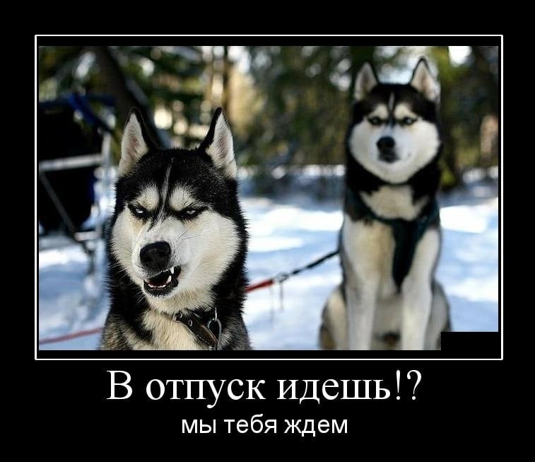 Картинки про отпуск и работу