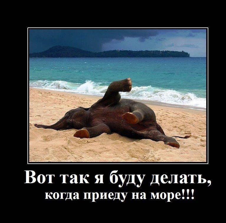 Картинки про отпуск и работу