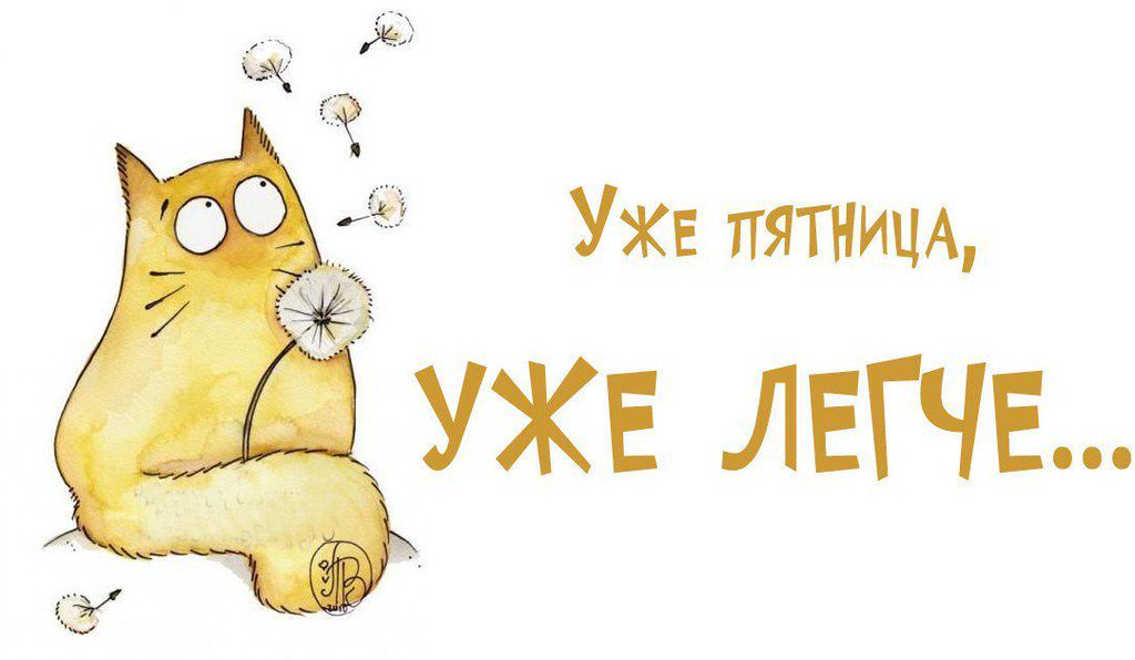 Ура, пятница: прикольные картинки