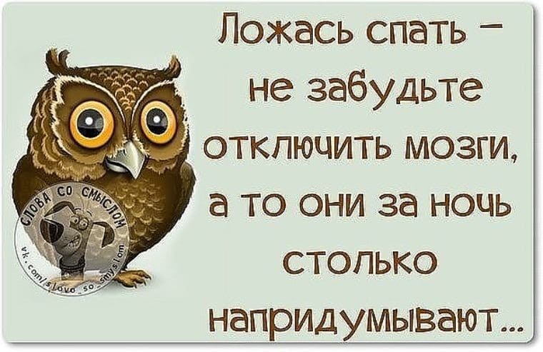 Спокойной ночи: смешные и прикольные картинки