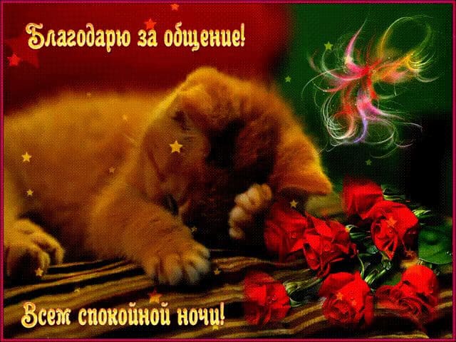 Доброй ночи – красивые картинки с надписями
