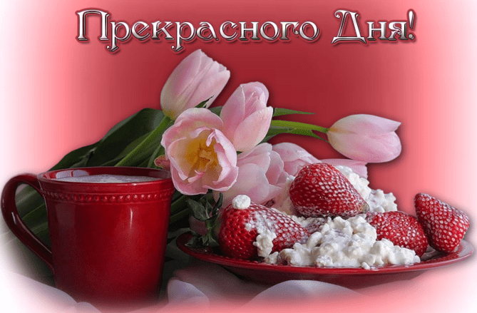 Добрый день и хорошего настроения: красивые картинки