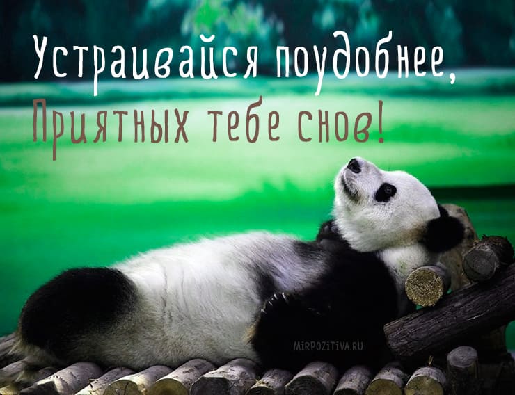 Спокойной ночи: красивые картинки с пожеланиями