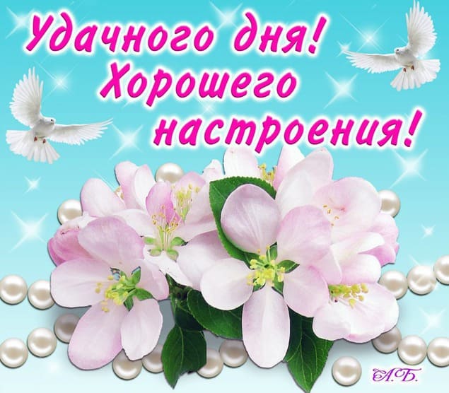 Удачного доброго дня и хорошего настроения: картинки