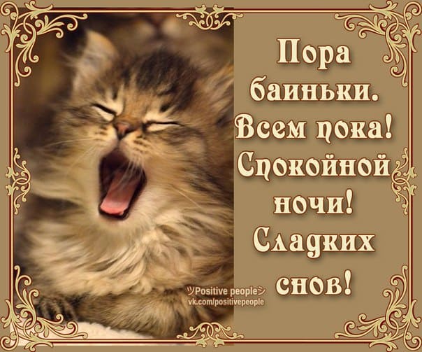 Спокойной ночи, сладких снов: прикольные картинки