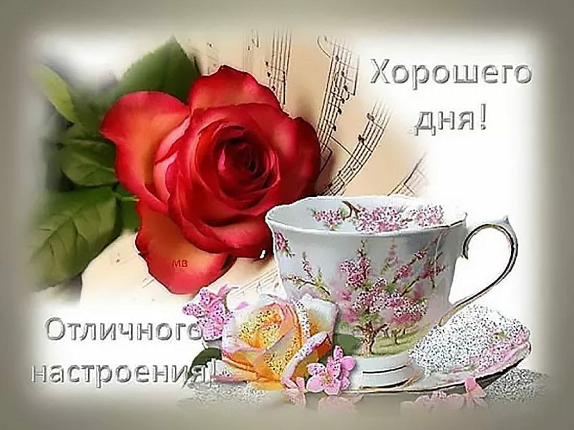 Хорошего дня и отличного настроения – картинки с пожеланиями