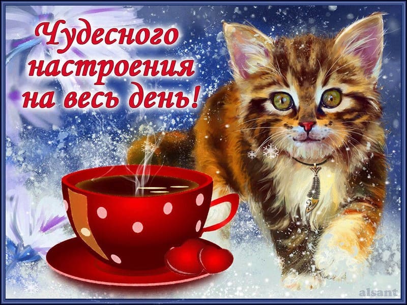 Добрый день и хорошего настроения: красивые картинки
