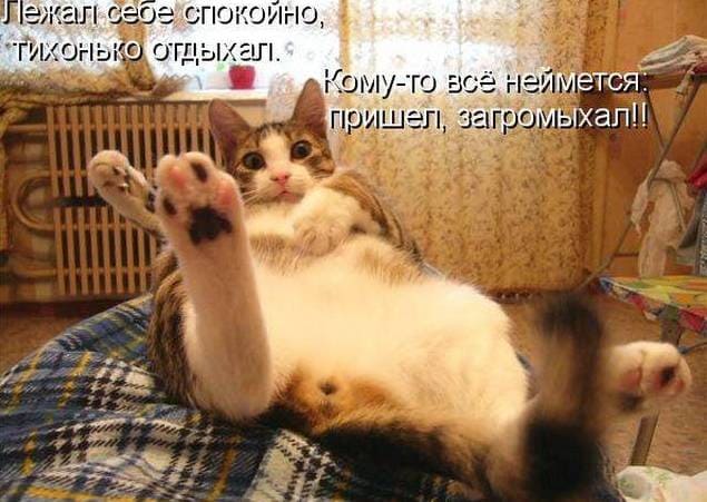 Добрый день и хорошего настроения: красивые картинки