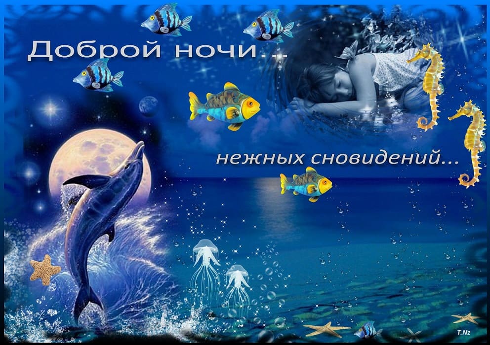 Доброй ночи – красивые картинки с надписями