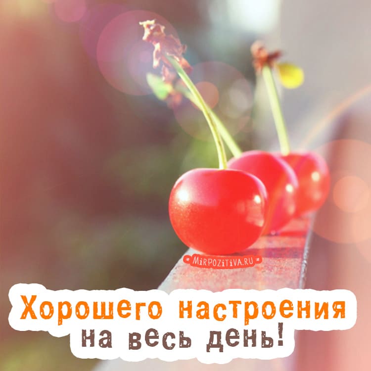 Удачного доброго дня и хорошего настроения: картинки