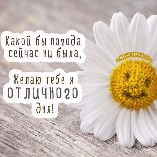 Хорошего дня и отличного настроения – картинки с пожеланиями