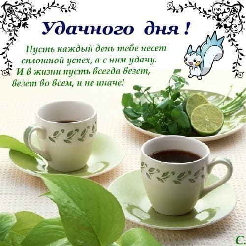 Удачного доброго дня и хорошего настроения: картинки