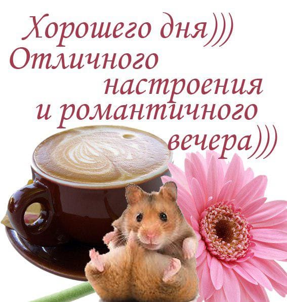 Хорошего дня и отличного настроения – картинки с пожеланиями