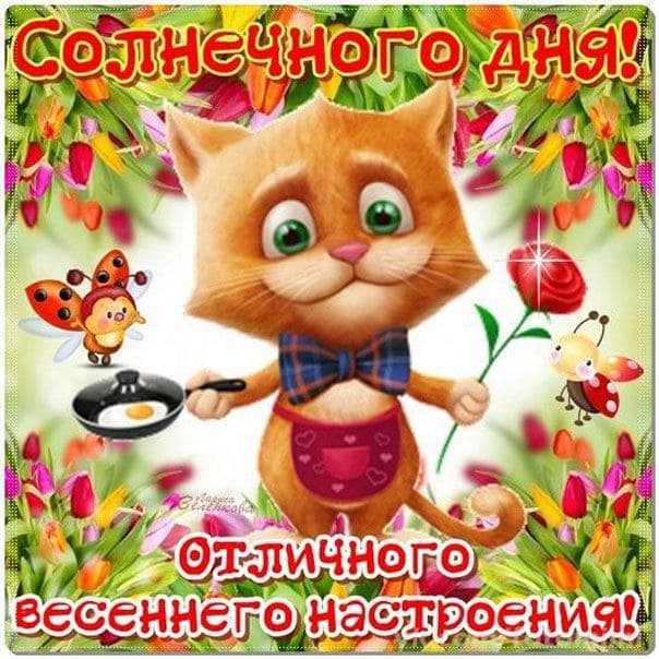 Хорошего дня и отличного настроения – картинки с пожеланиями