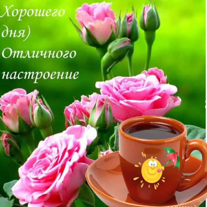 Хорошего дня и отличного настроения – картинки с пожеланиями