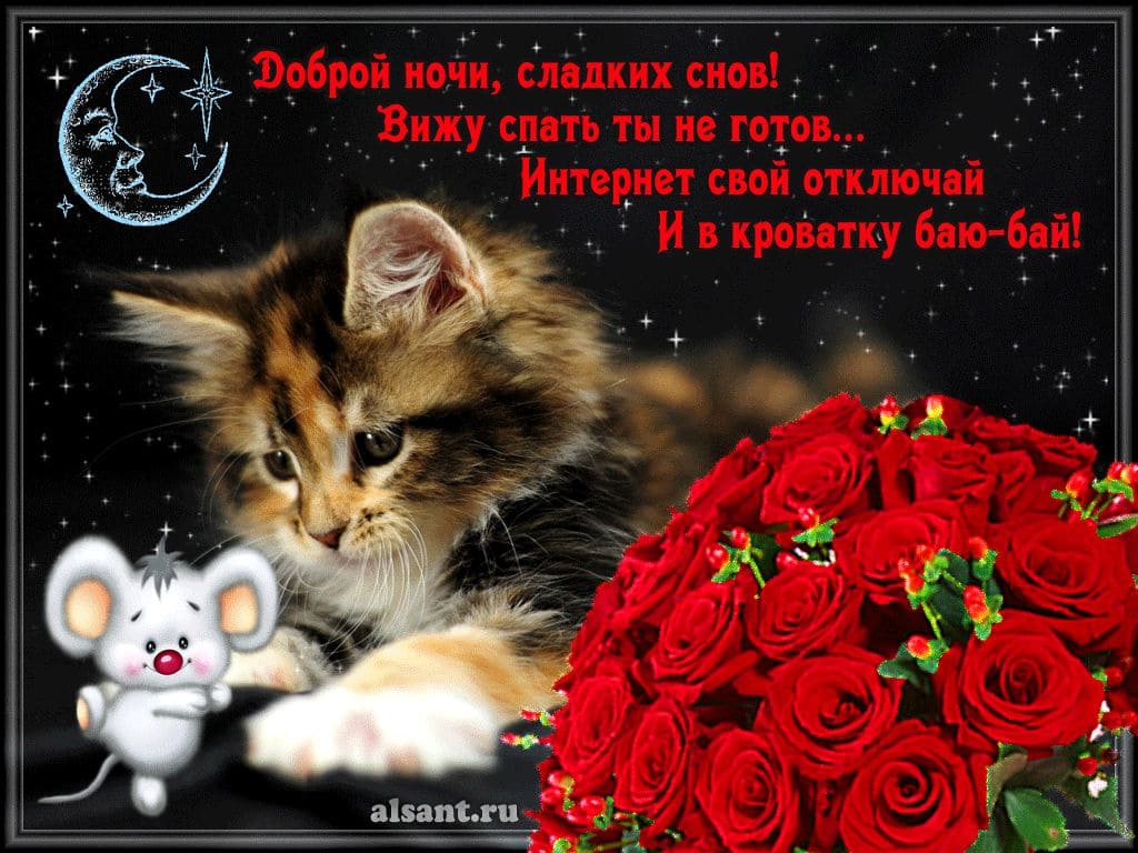 Доброй ночи – красивые картинки с надписями