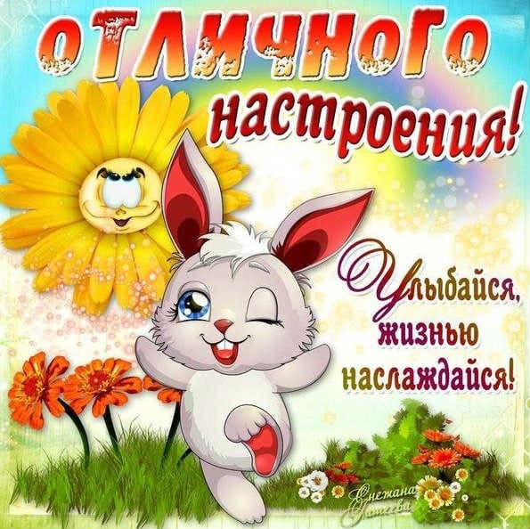 Хорошего дня и отличного настроения – картинки с пожеланиями