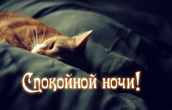 Доброй ночи – красивые картинки с надписями