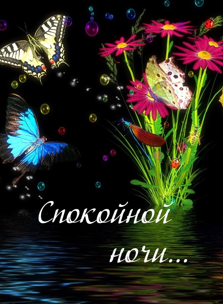 Доброй ночи – красивые картинки с надписями