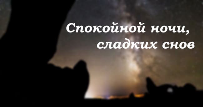 Спокойной ночи, сладких снов: прикольные картинки