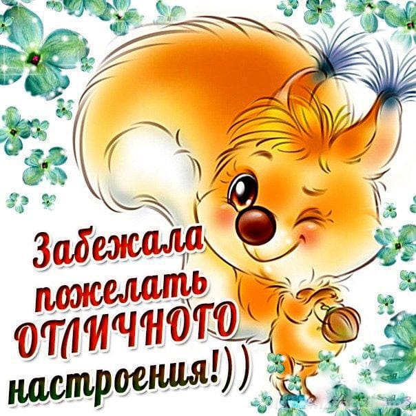 Хорошего дня и отличного настроения – картинки с пожеланиями