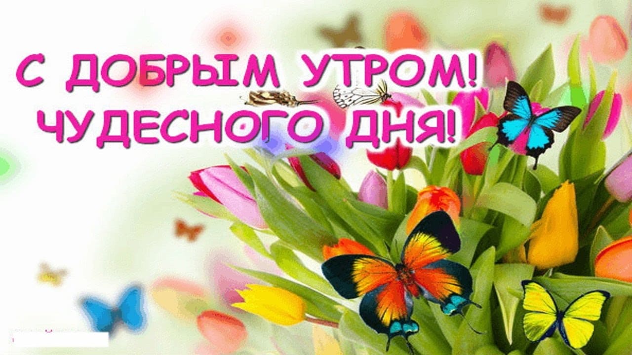 Удачного доброго дня и хорошего настроения: картинки