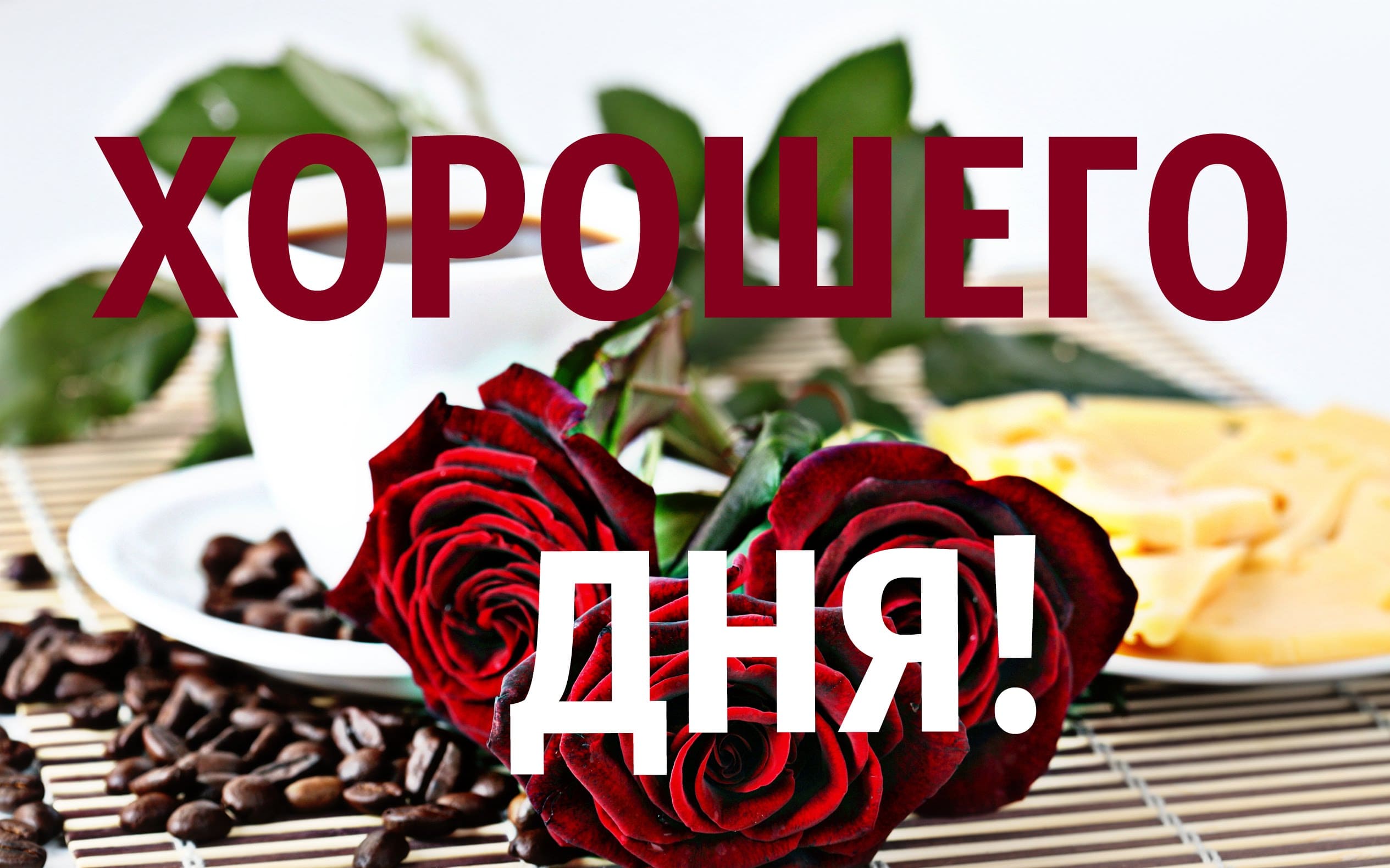 Удачного доброго дня и хорошего настроения: картинки