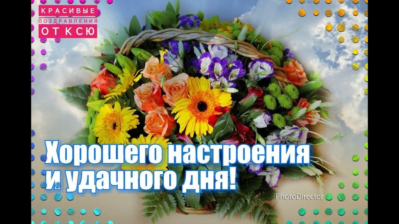 Удачного доброго дня и хорошего настроения: картинки