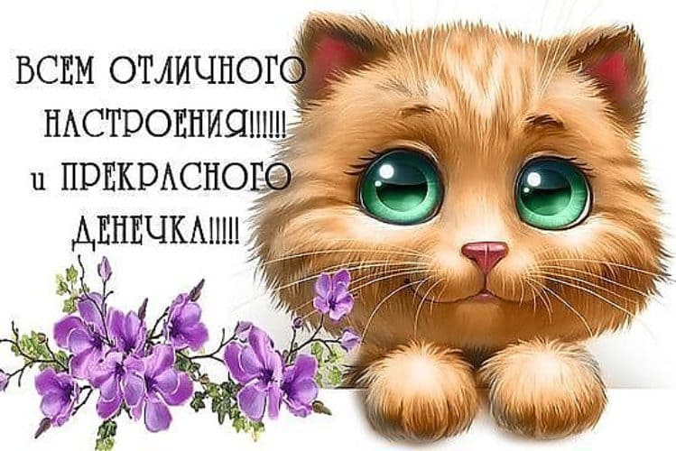 Хорошего дня и отличного настроения – картинки с пожеланиями