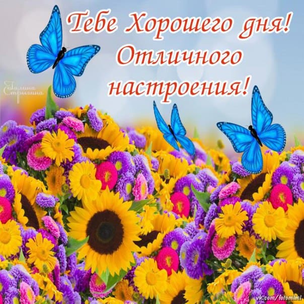 Хорошего дня и отличного настроения – картинки с пожеланиями